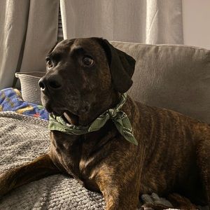 Meet your Posher, Bethany